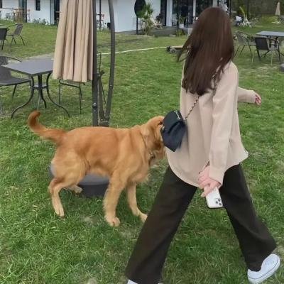 美国擦鞋童